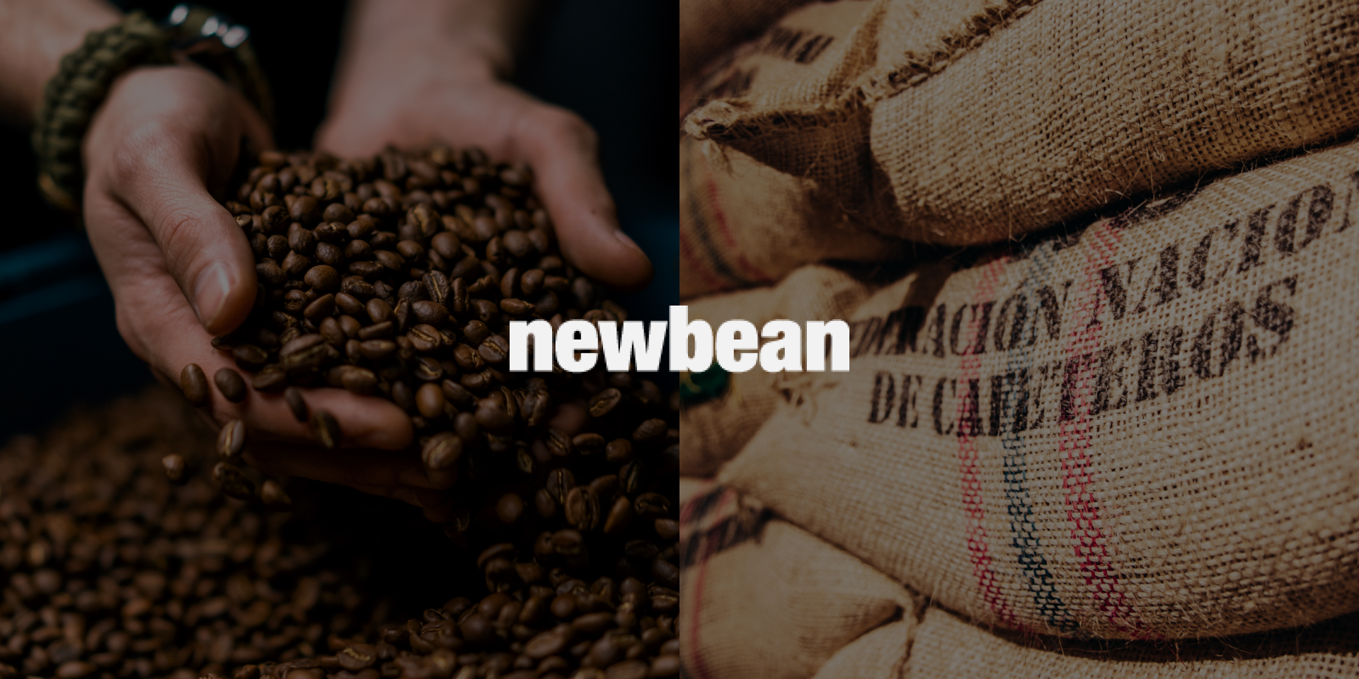 newbean_cont_02.jpg